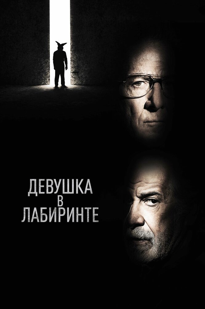 Девушка в лабиринте (2019) постер