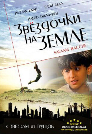 Звездочки на земле (2007) постер